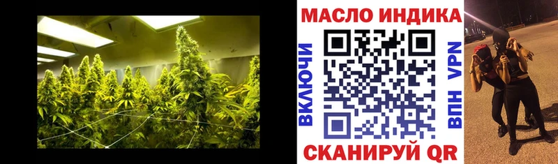 ТГК гашишное масло  Купить где  Михайлов 