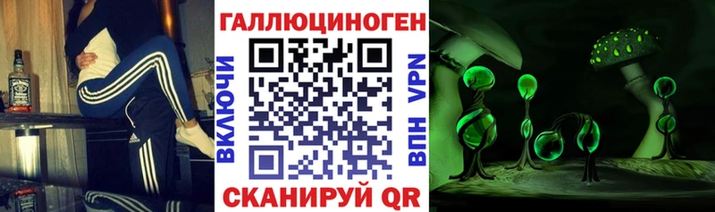 Псилоцибиновые грибы прущие грибы  Купить закладки  Михайлов 